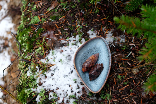 Leben im Einklang mit der Natur: Die ökologischen Vorteile von Steinzeuggeschirr